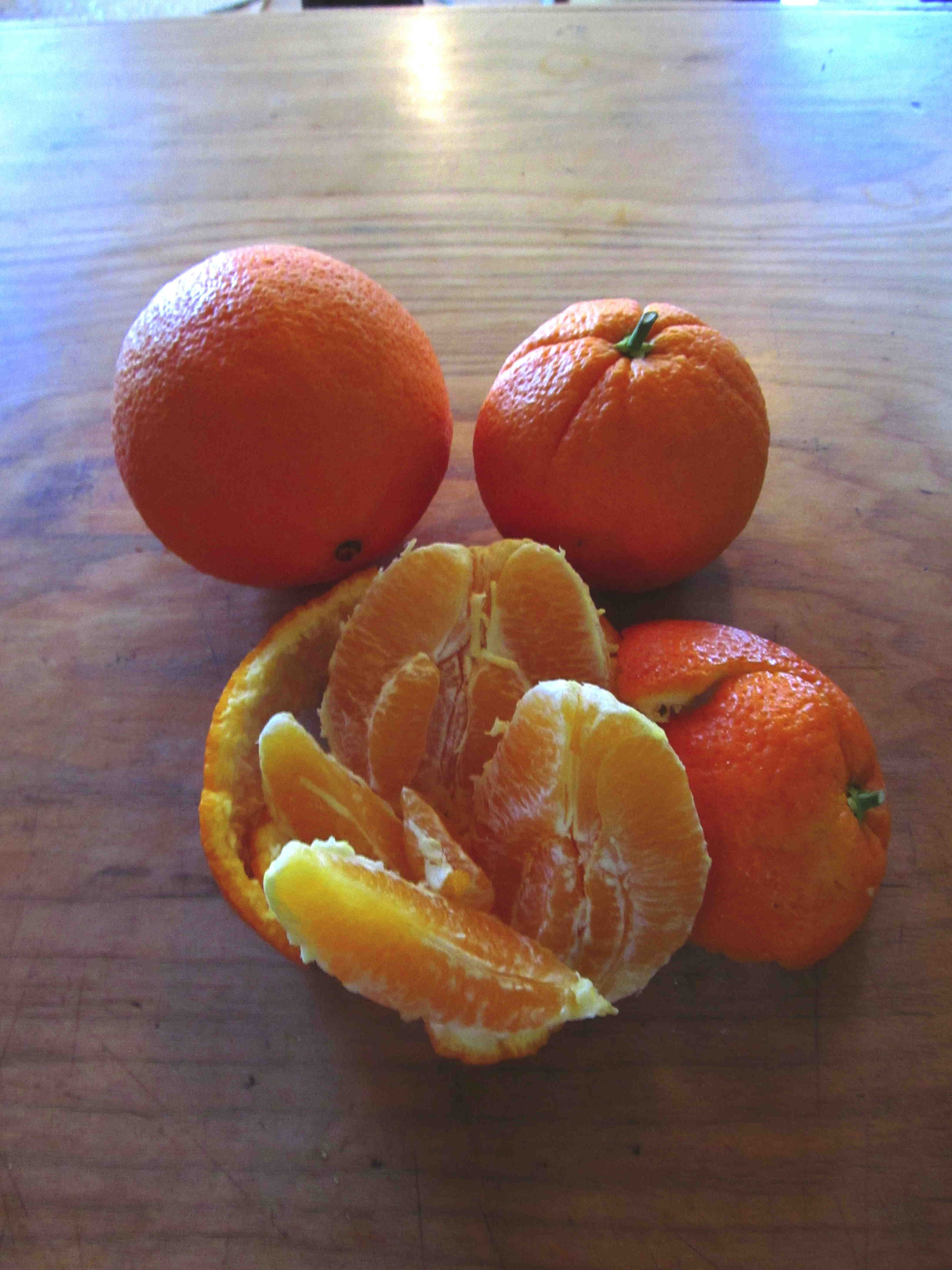 Description: http://redwoodbarn.com/images/DE_citrusdisease/Citrus Wash Navel peeled.JPG